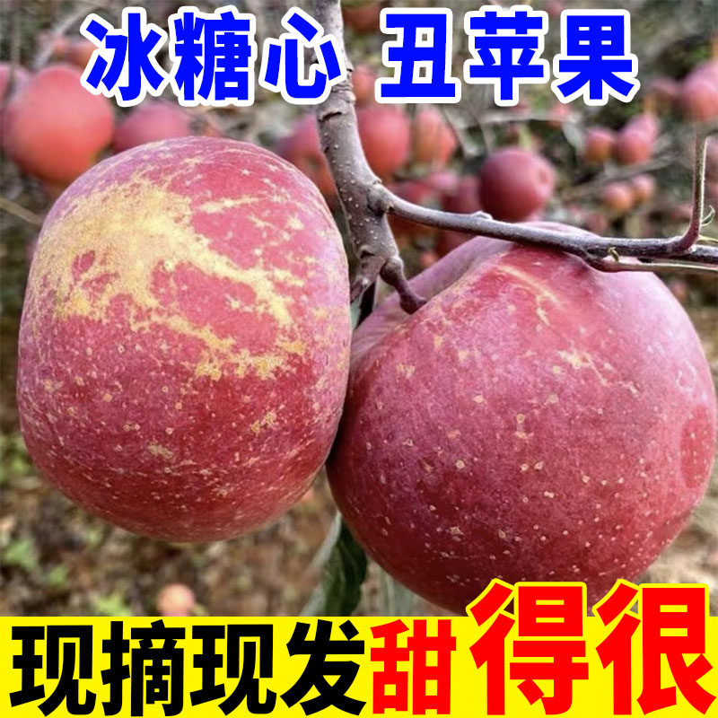 中秋】高山冰糖心丑苹果红富士脆甜现摘新鲜水果脆甜孕妇整箱批发