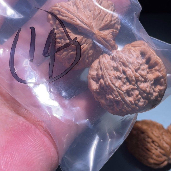 文玩核桃吊坠14呃呃呃