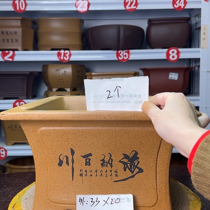 紫砂花盆蛇年大吉