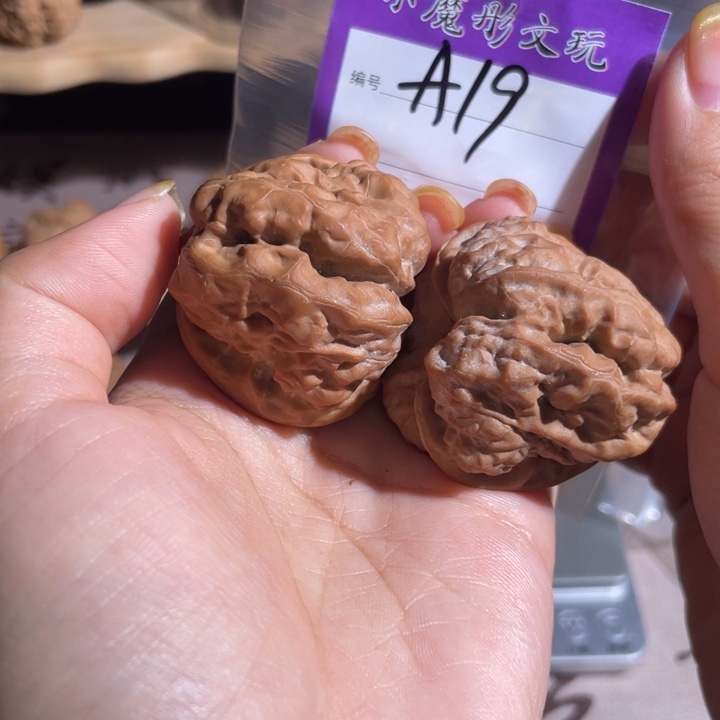 19号 哇哇 4222222