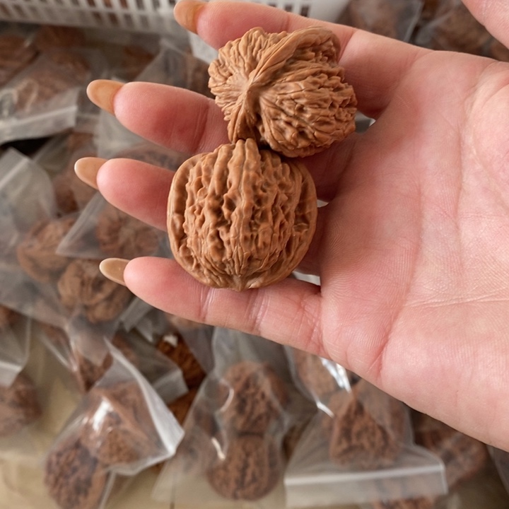 笑**生四座楼四座楼四座楼