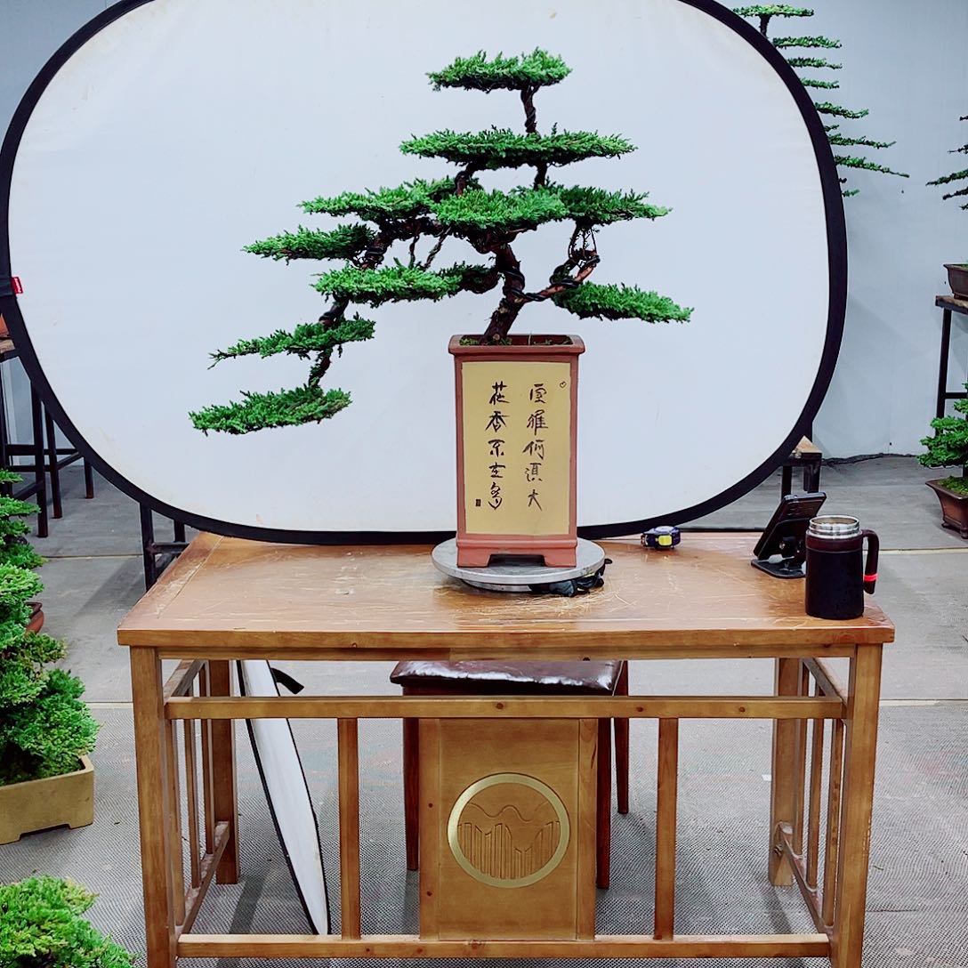 无花朵直播间一物一拍