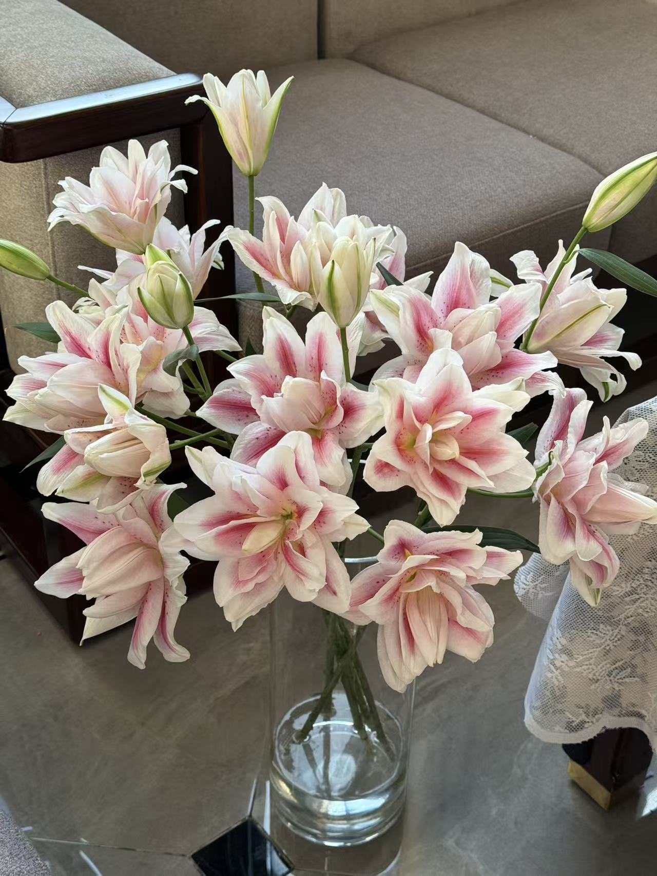 【陌上花开】多头圆瓣晓池-百合