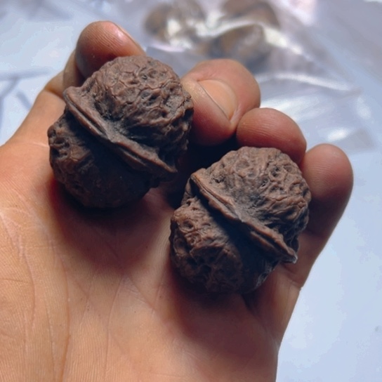 把件文玩核桃卡36火焰灵姬39号