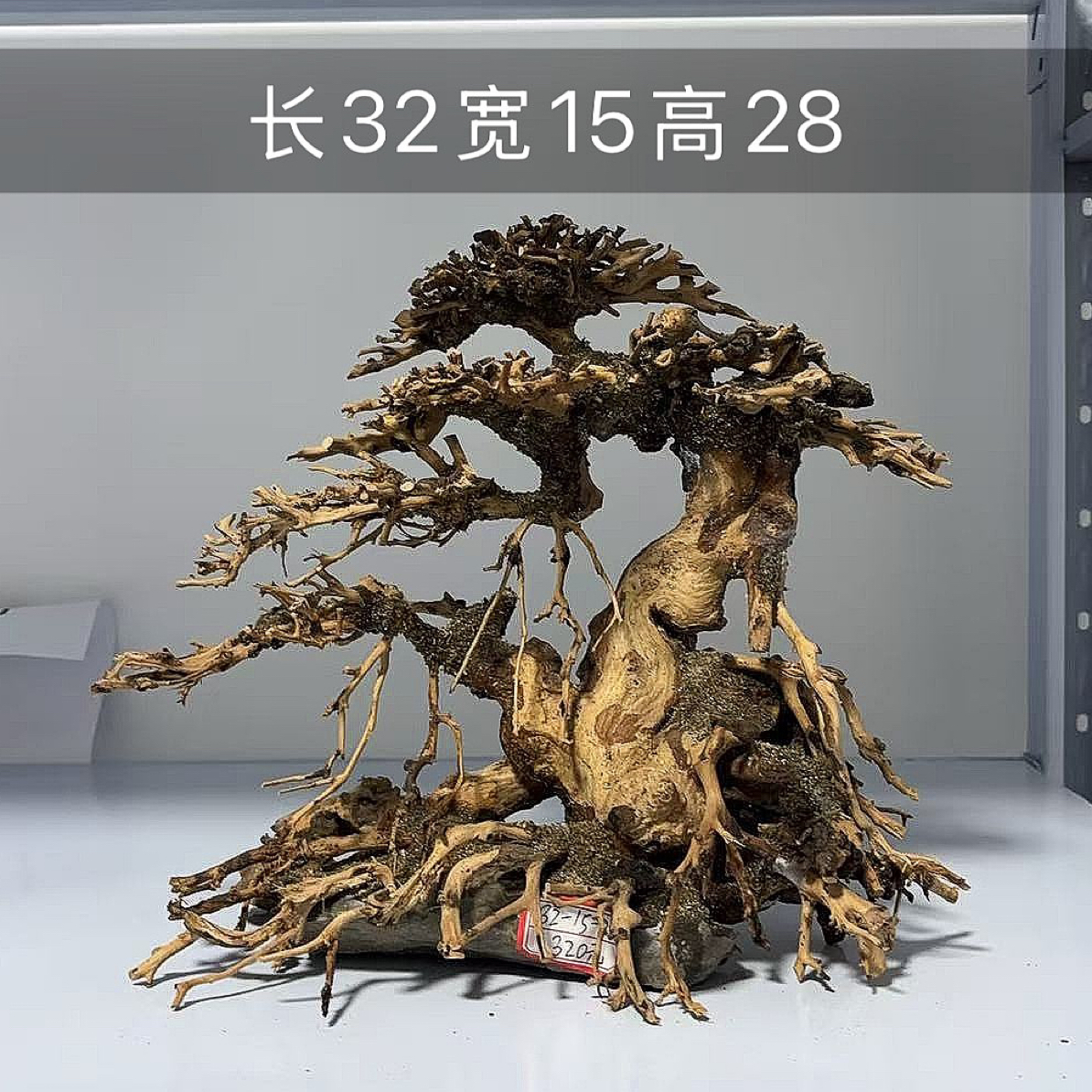 定制莫斯树迎客松一体骨架用于鱼缸造景可按需制作