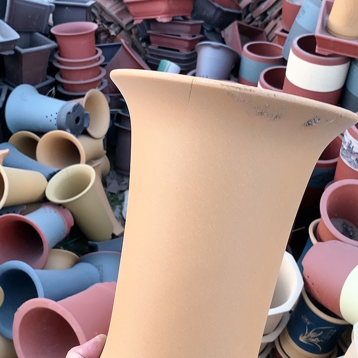 紫砂哈哈真的是太给力的样子