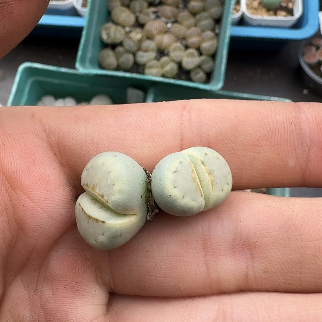 418 哈哈哈哈哈哈哈哈哈