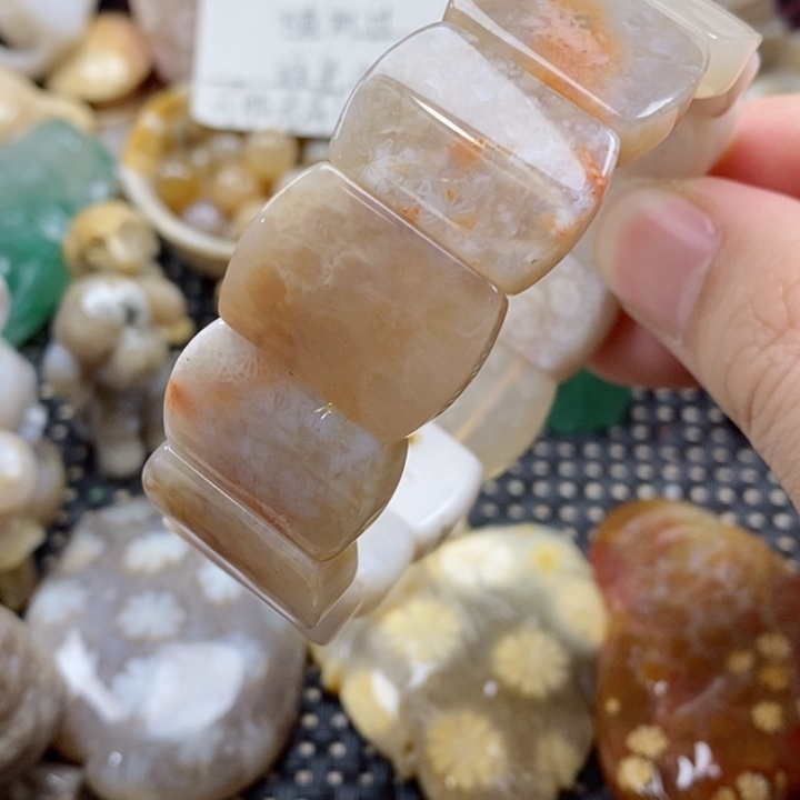 硅化珊瑚（珊瑚玉）颈饰未镶嵌