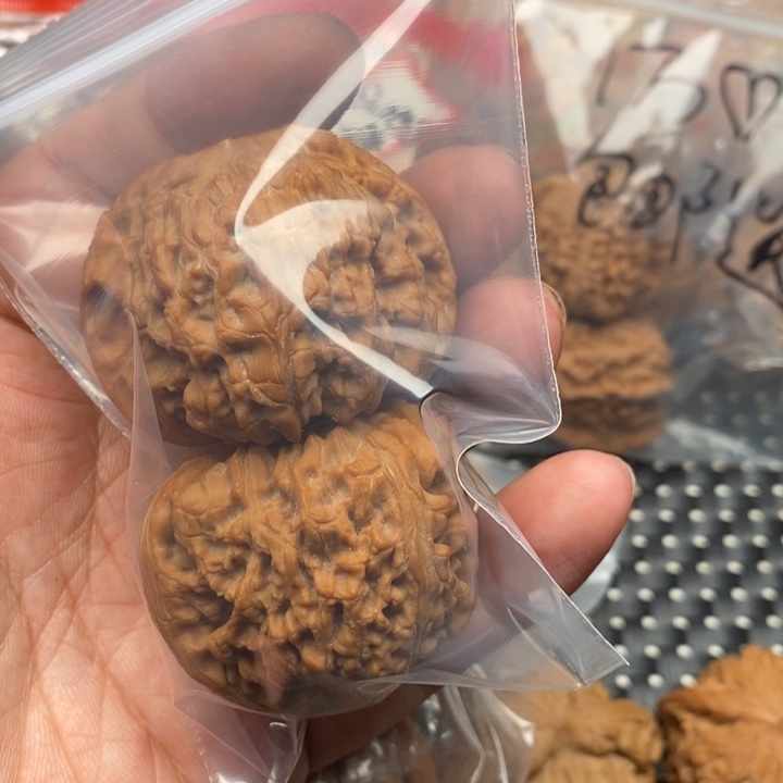 分*线文玩核桃 球疆和蚂蚁王