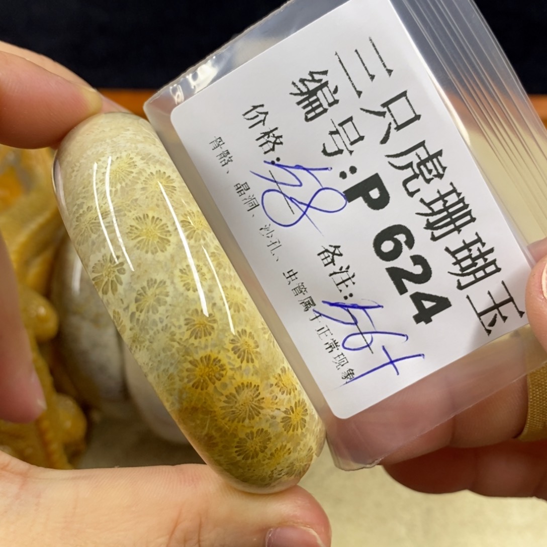 硅化珊瑚（珊瑚玉）1未镶嵌暖***羊