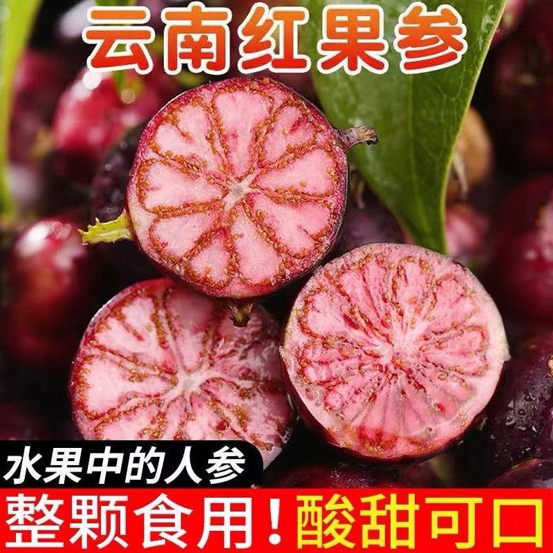 （小果）正宗云南红果参新鲜采摘当季稀有高原水果蜘蛛果