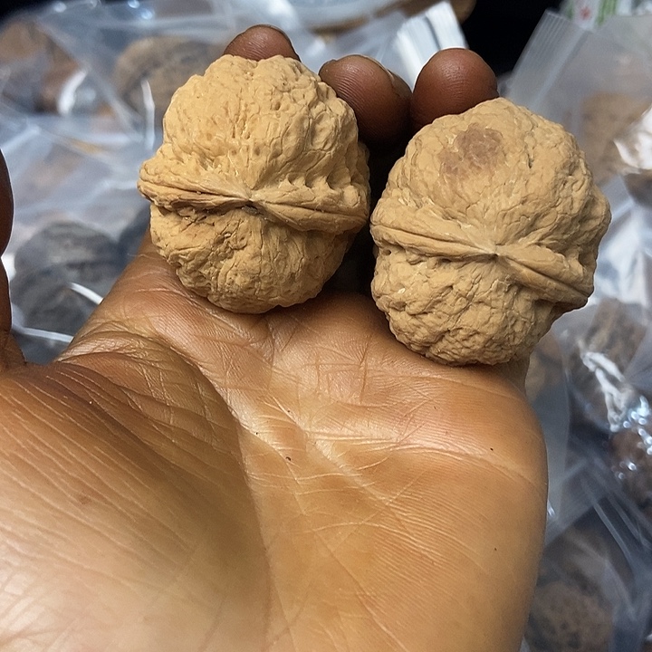 把件文玩核桃云南铁核桃基地10