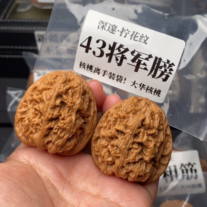 文玩核桃把件43将军膀