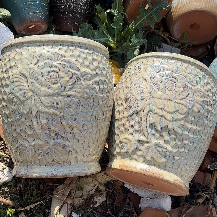 正品紫砂口19高22福利价