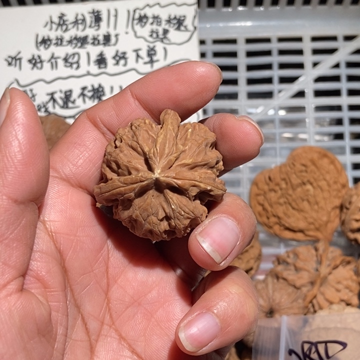 荆***鸟核桃宫灯三棱39尺有黄