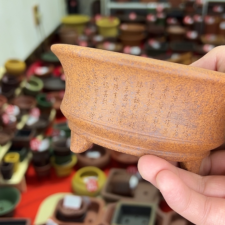 花盆紫砂小花盆小圆盆