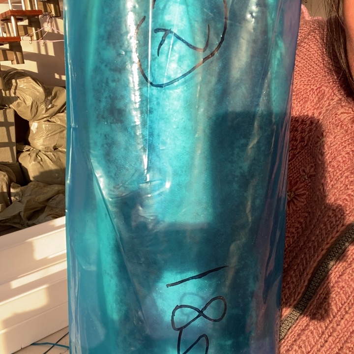 中国大陆渤海湾野生燕鲅鱼5号