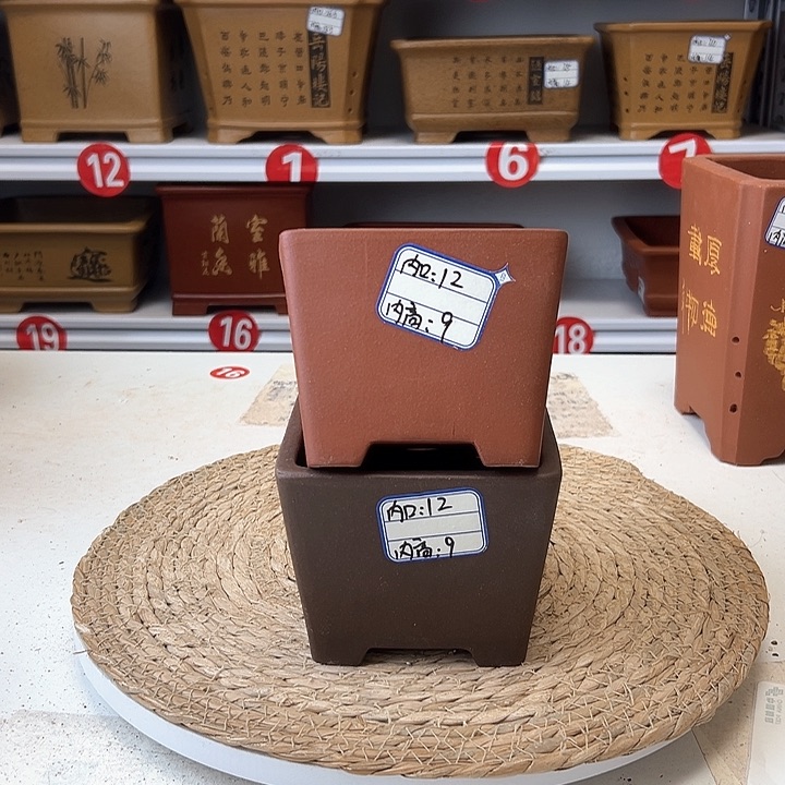 紫砂花盆蛇年大吉