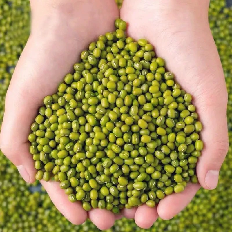 农家小绿豆1500g