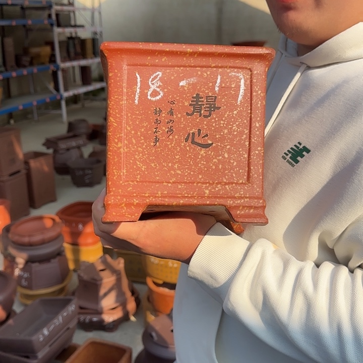 花盆紫砂这是什么