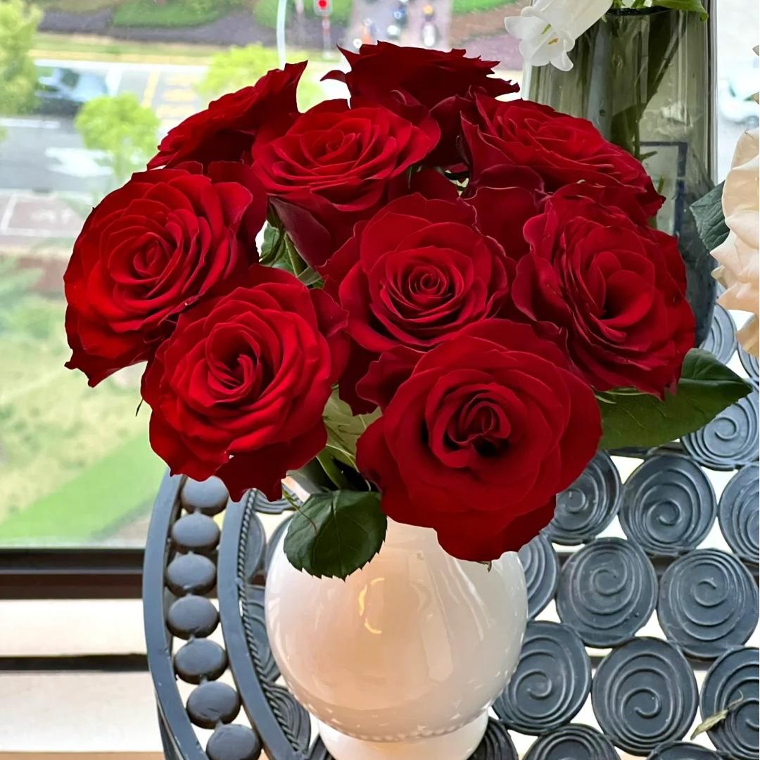 【高原红玫瑰】云南直发玫瑰鲜花两单顺丰冷链包邮LT
