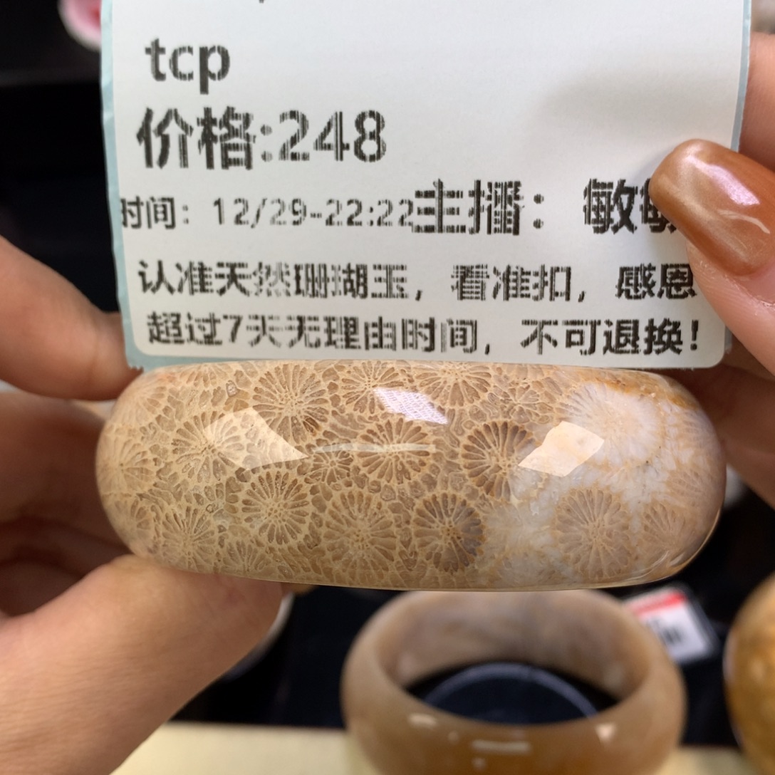 t***p硅化珊瑚（珊瑚玉）未镶嵌颈饰