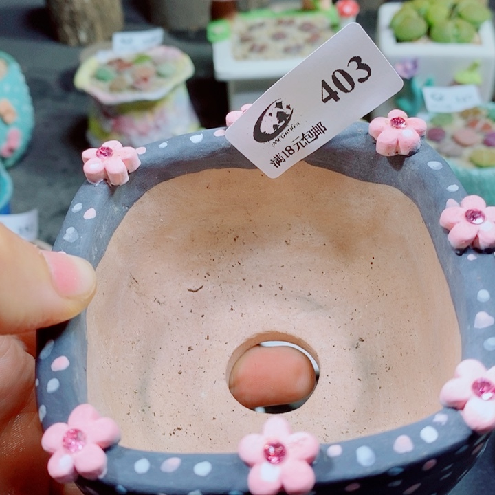 卤***路生石花花花花花花403