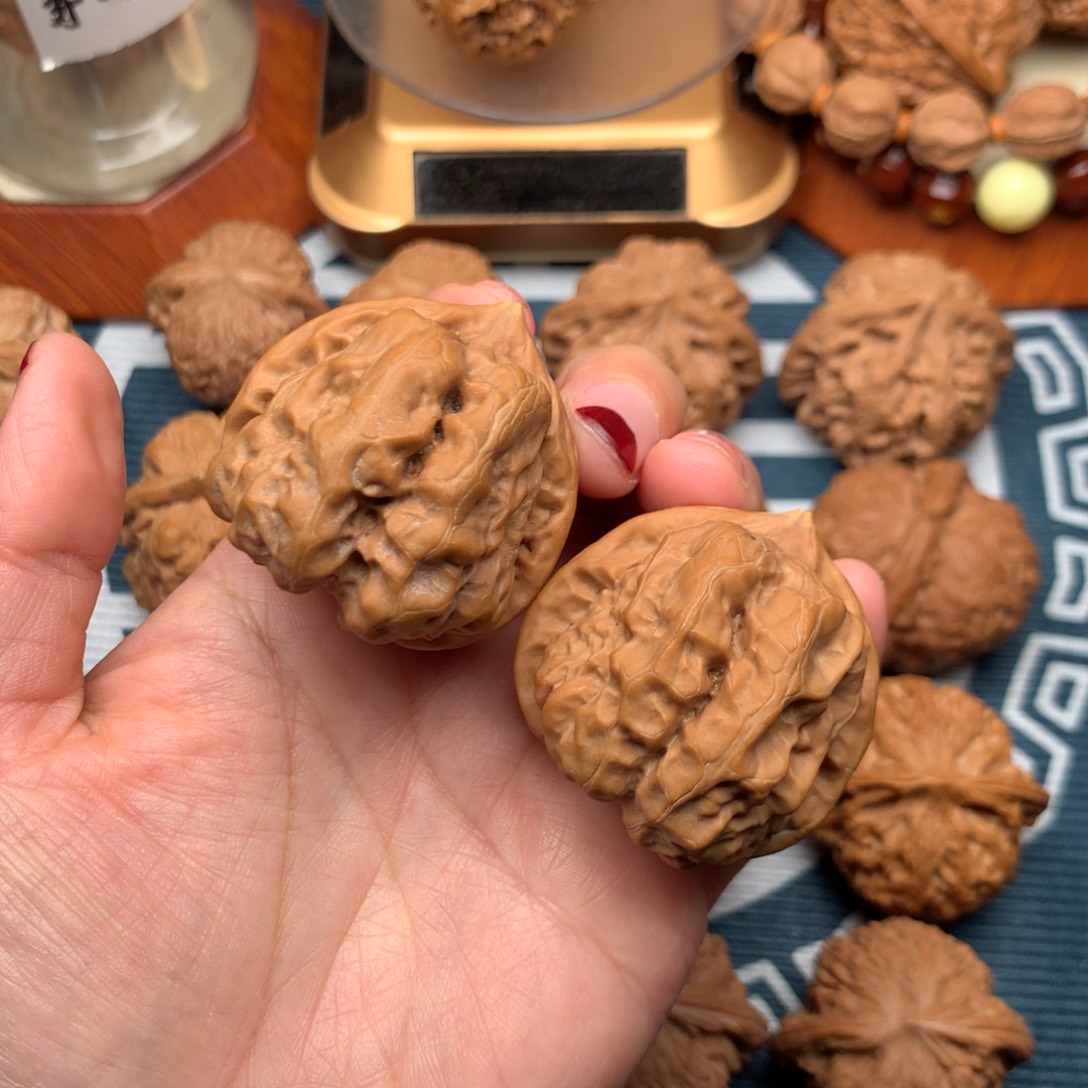 杨***麟把件文玩核桃蛤蟆40