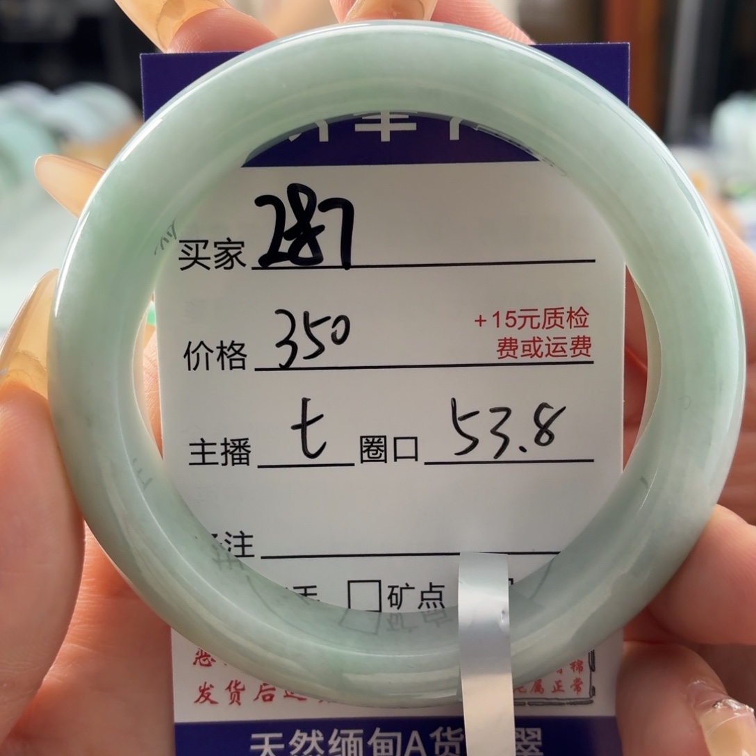 鱼***h翡翠未镶嵌手镯53