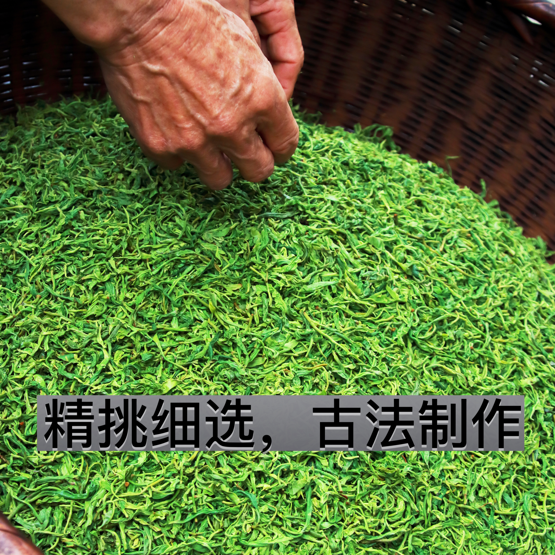梵邛净岱梵净山毛峰高山云雾茶