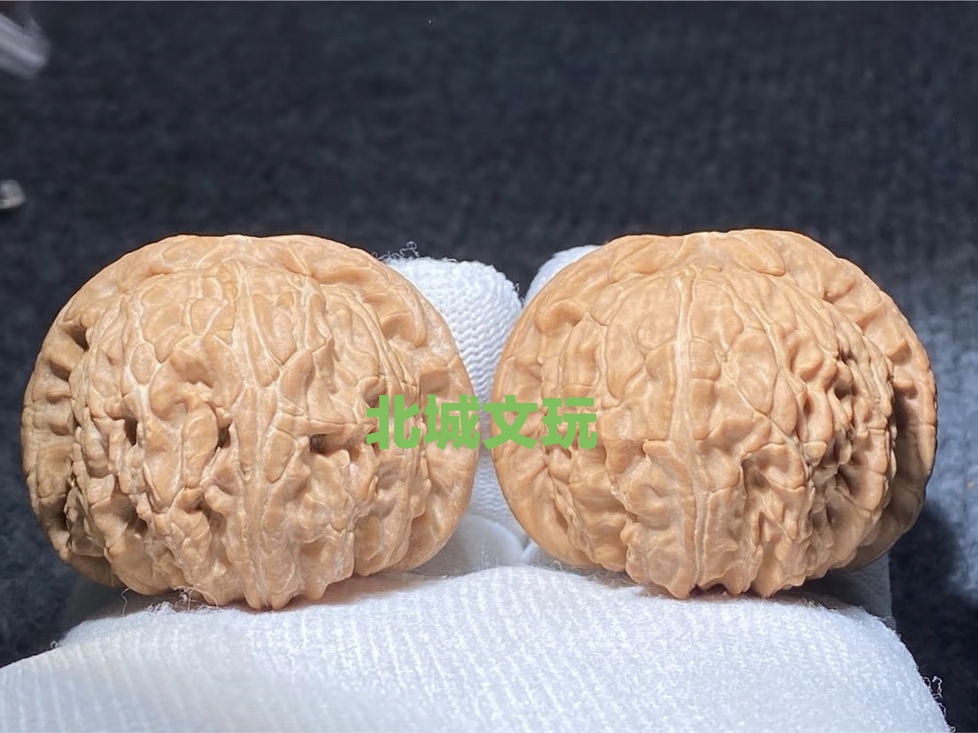 15号 A货白狮子（全品）包退换 品相中上等