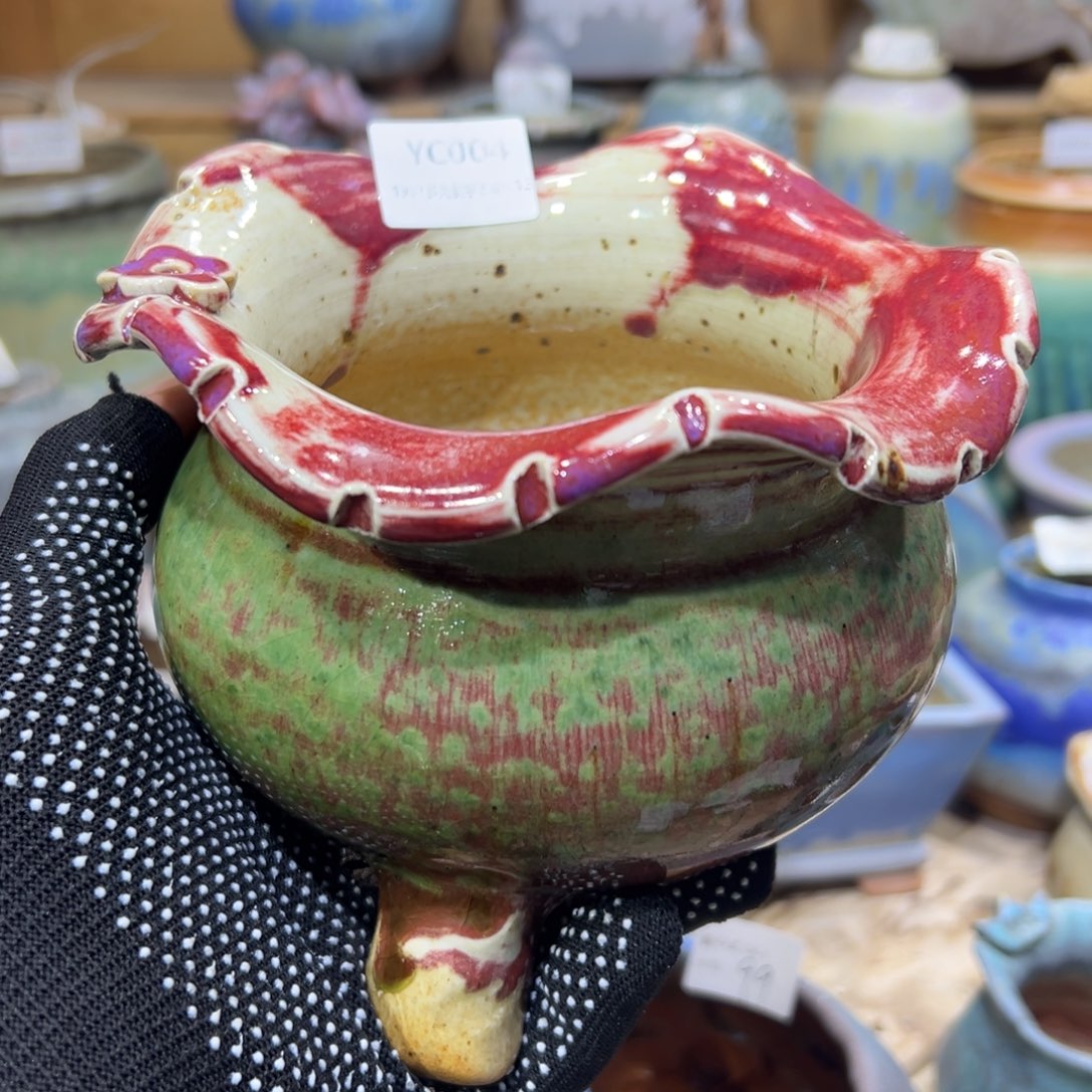 yc004不知名好看色花边猪