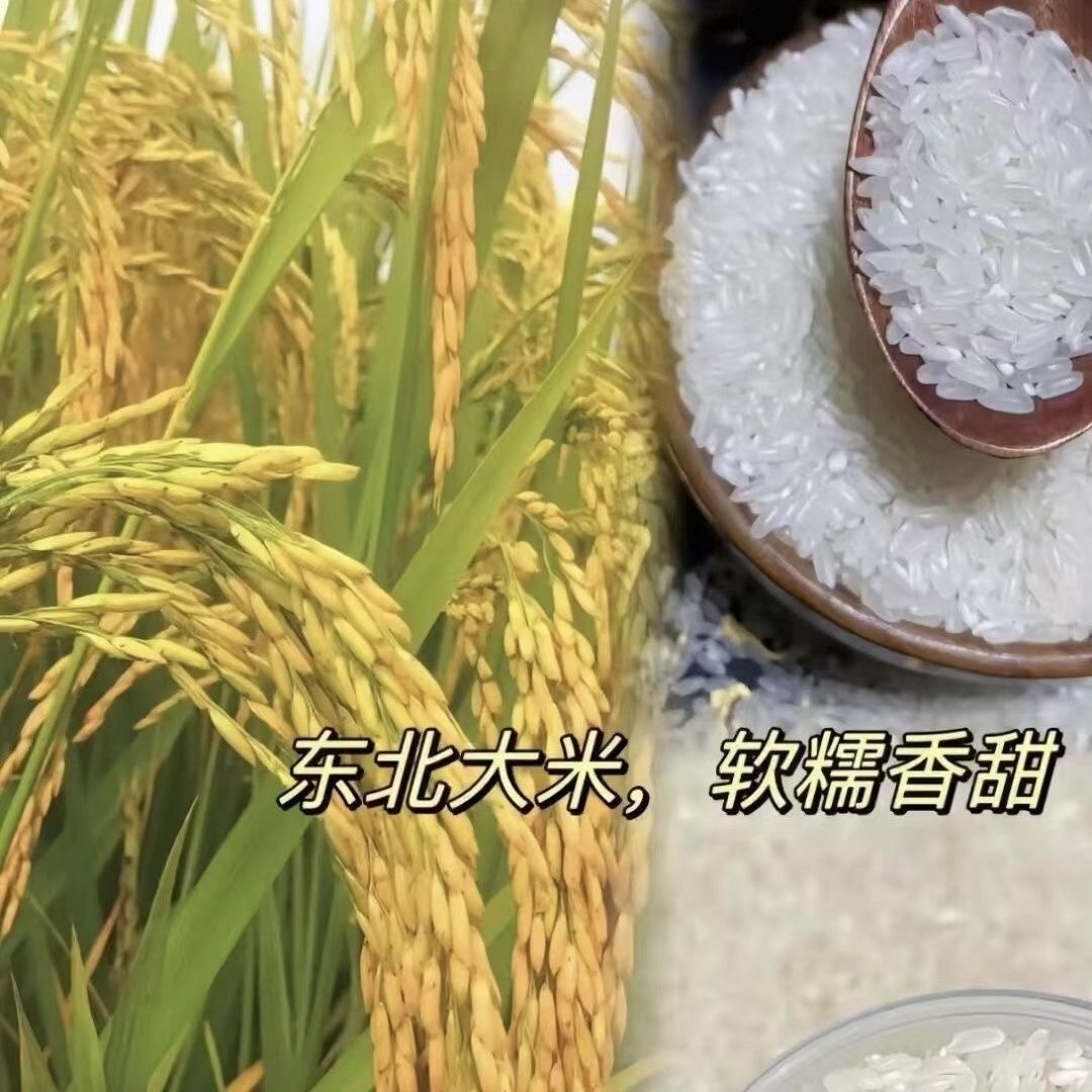 【小周补贴】优质东北大米软糯香甜300克大米密封食用【拍一发二】