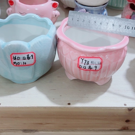 红陶1111111111111111