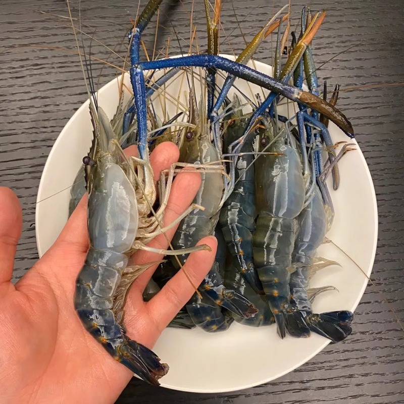 活冻罗氏虾生冻大头虾淡水虾罗氏沼虾餐厅酒楼自助餐商用