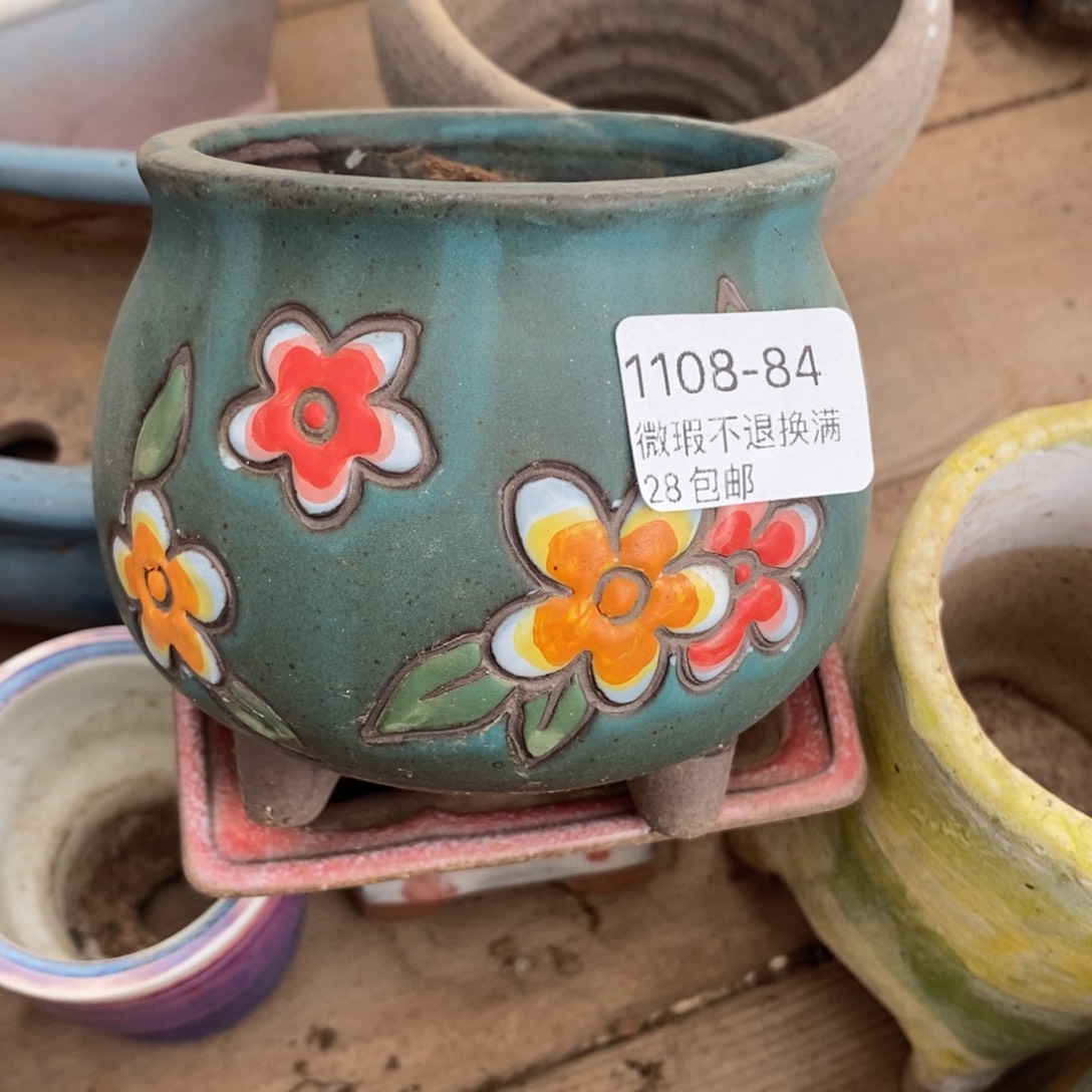 84号多肉盆口径7西啦