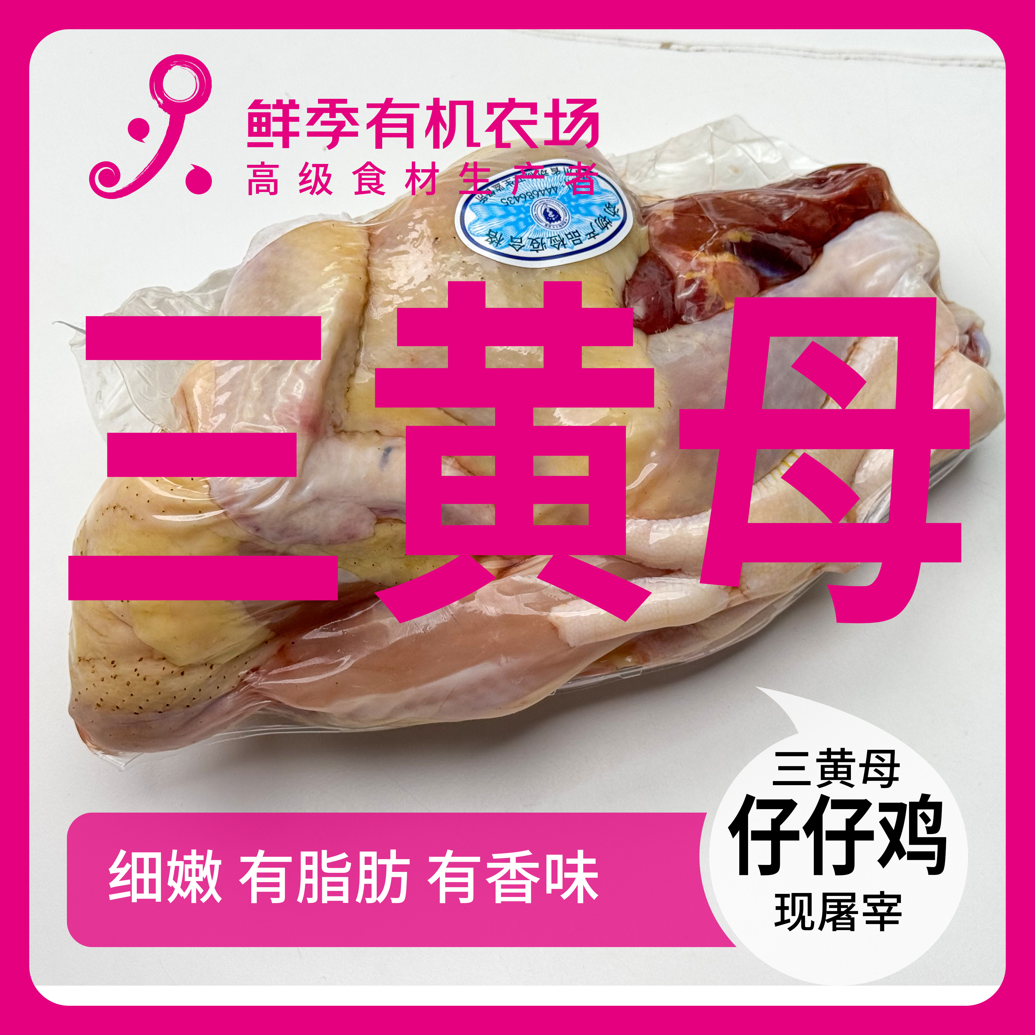 鲜季全自产 三黄母仔仔鸡 童子鸡 活鸡现宰/空运