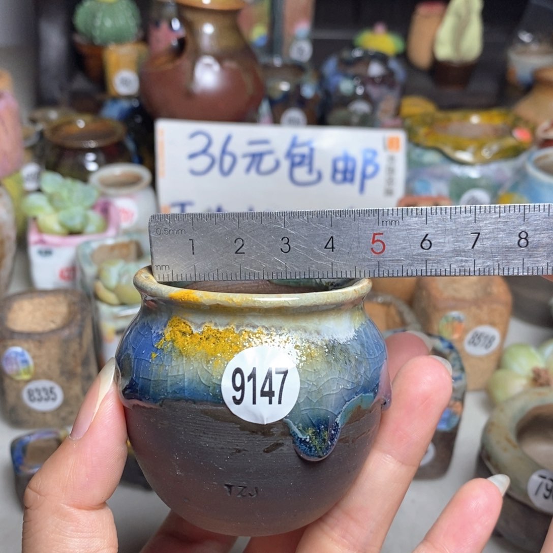 拍5送一个小礼物