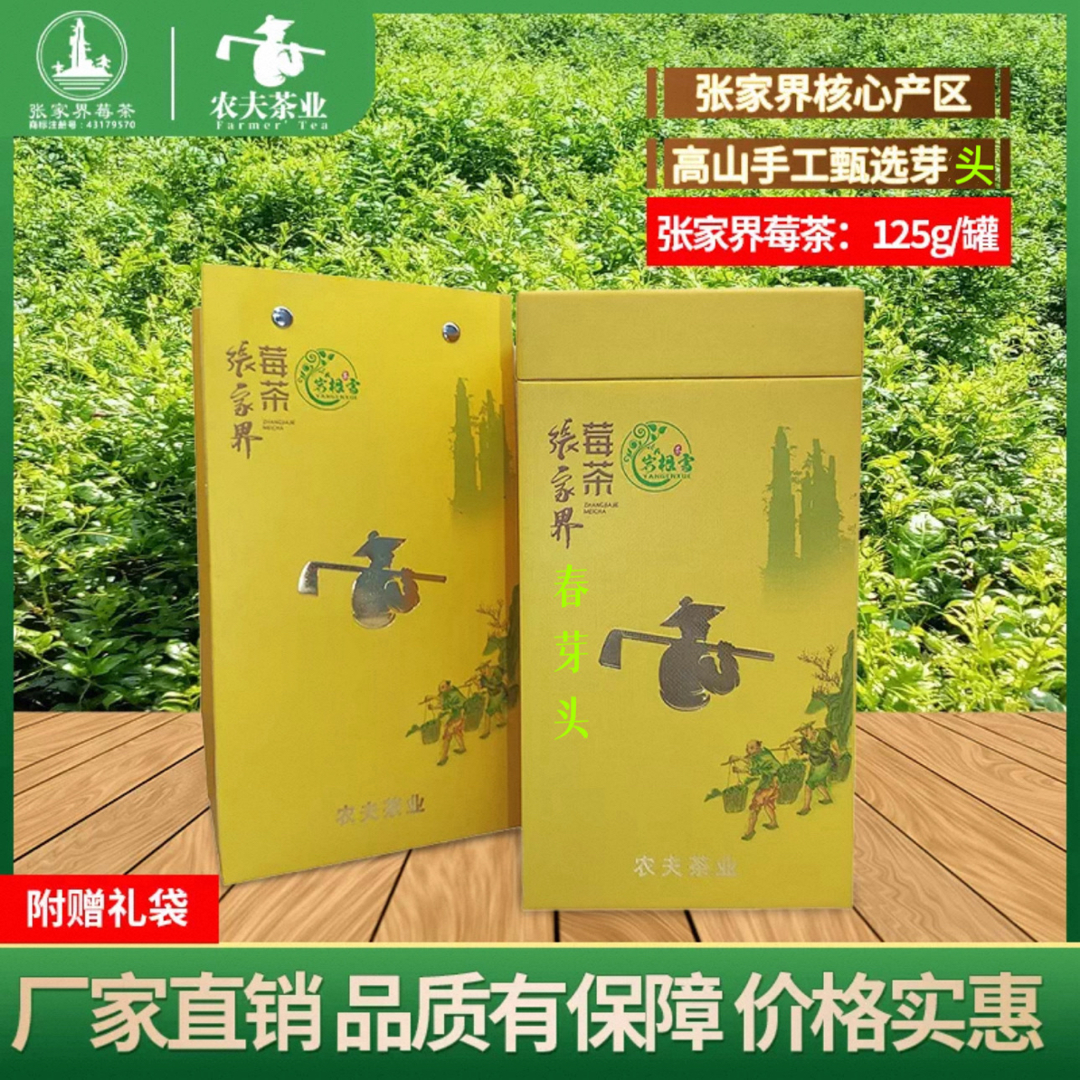 张家界高山头春「明前芽头」头采800米以上高海拔正宗芽头茶