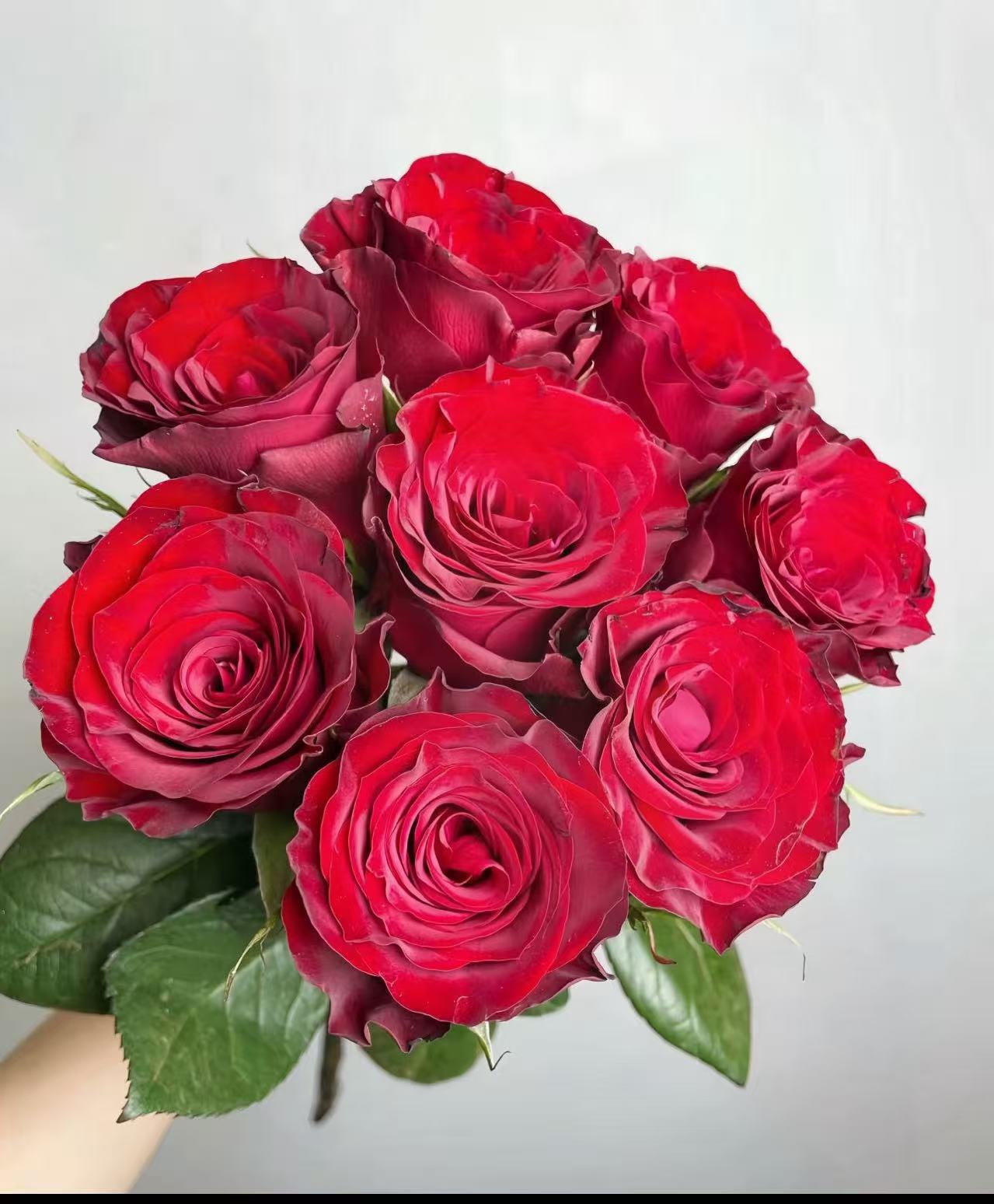 【红玫瑰10支 】 2单鲜花升级顺丰冷链/德邦空运