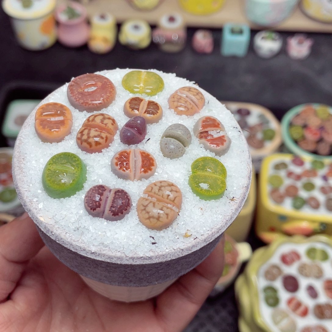 w8779 带盆土发货-零下地区拍保温箱