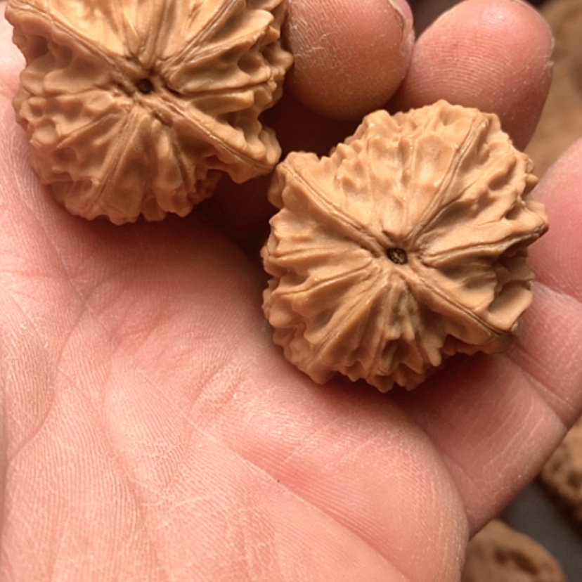 【闪购商品】元*龙眼