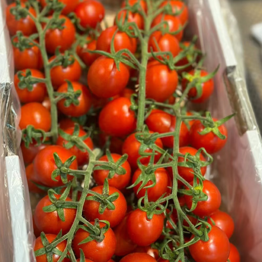 【来此购优选】柿子系列草莓番茄