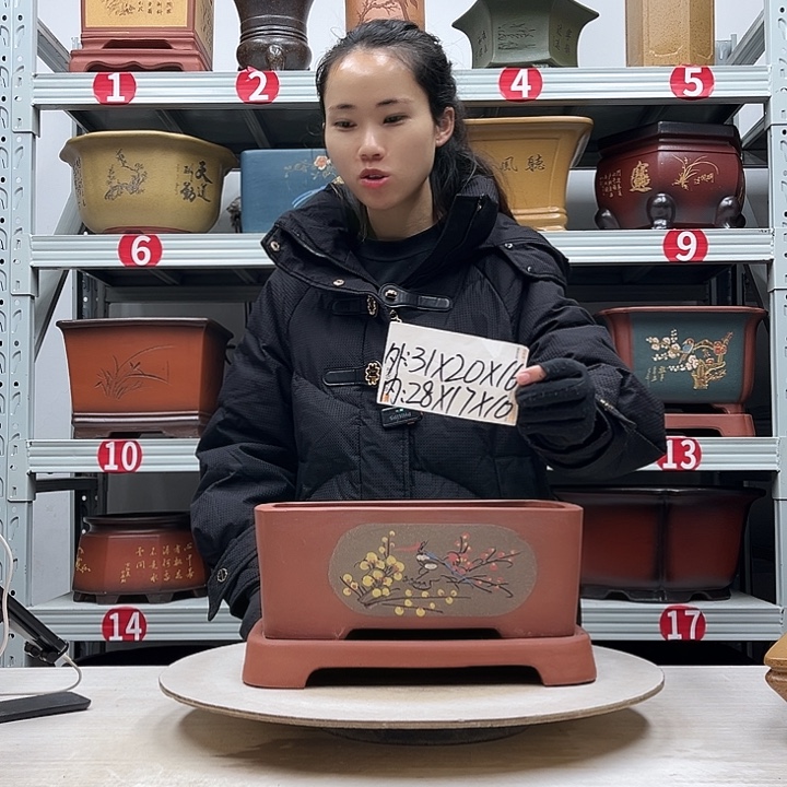 紫砂花盆紫砂花盆