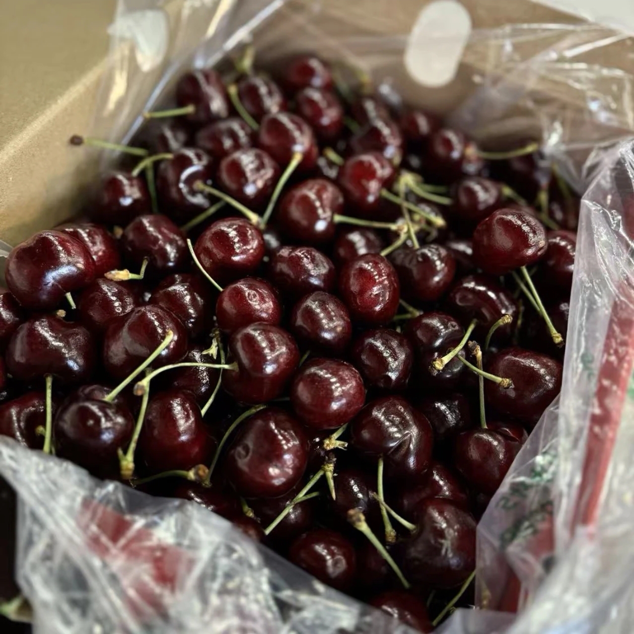 3J车厘子即智利进口。5斤空运桑提娜。智利