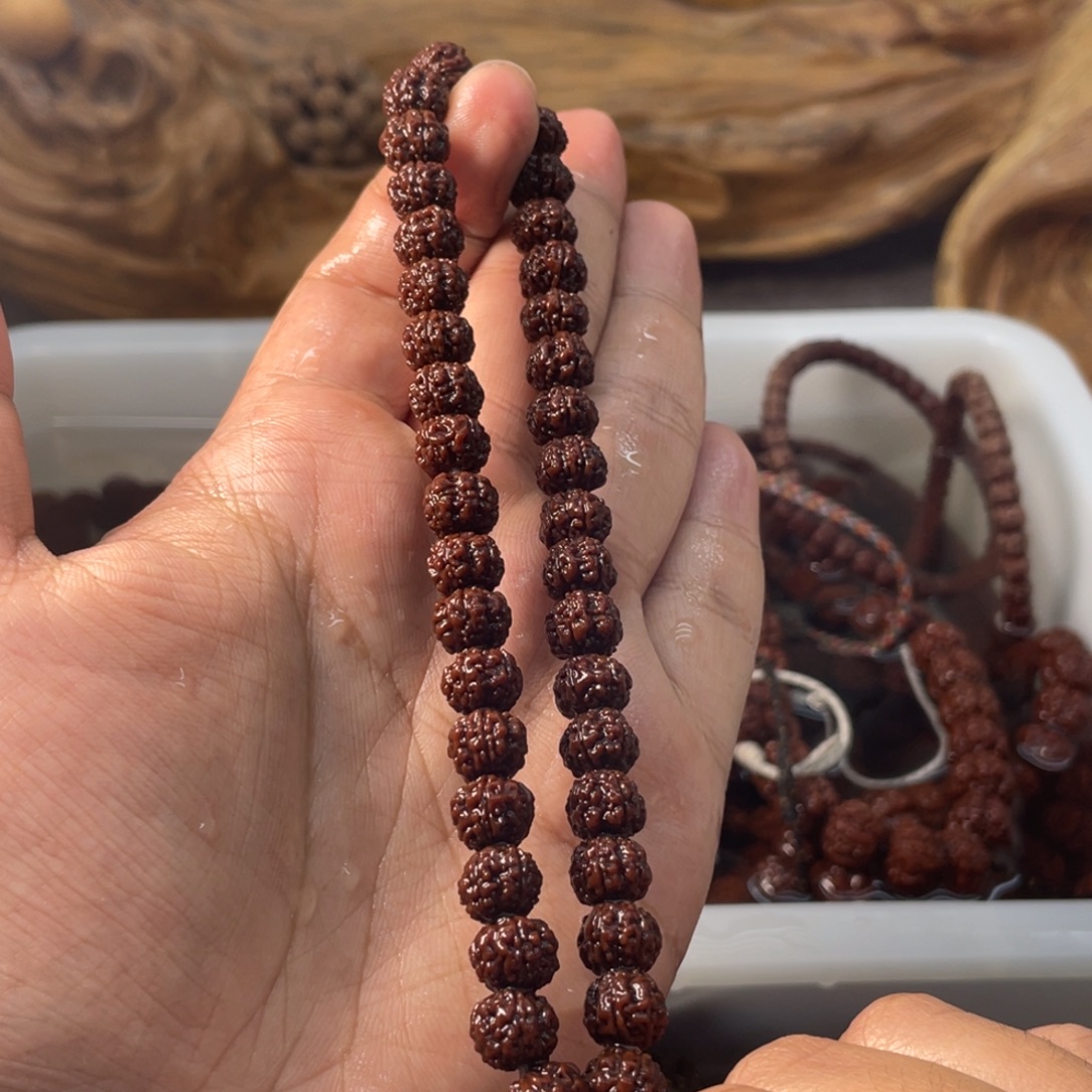 金刚菩提吊坠树王梅花