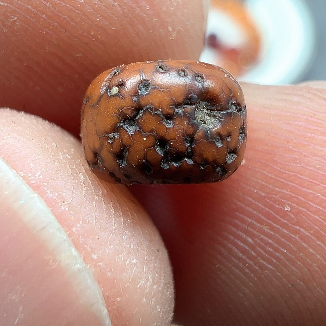 泥塑x81    6.8×4.8....