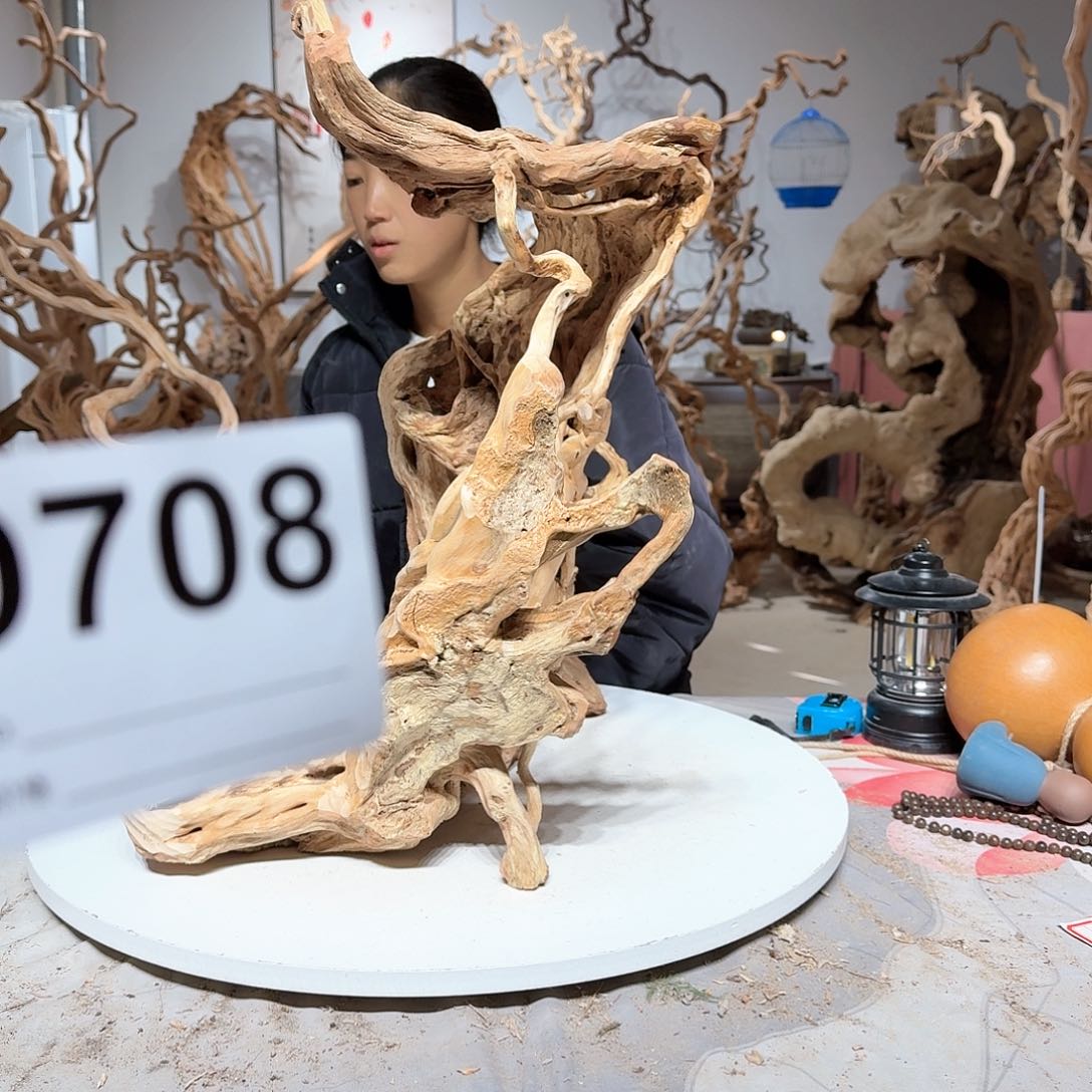 风车木（黑檀木）华****享