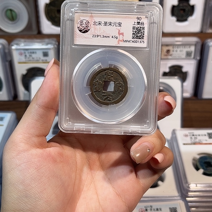 铜洛神 H四株半L。福利