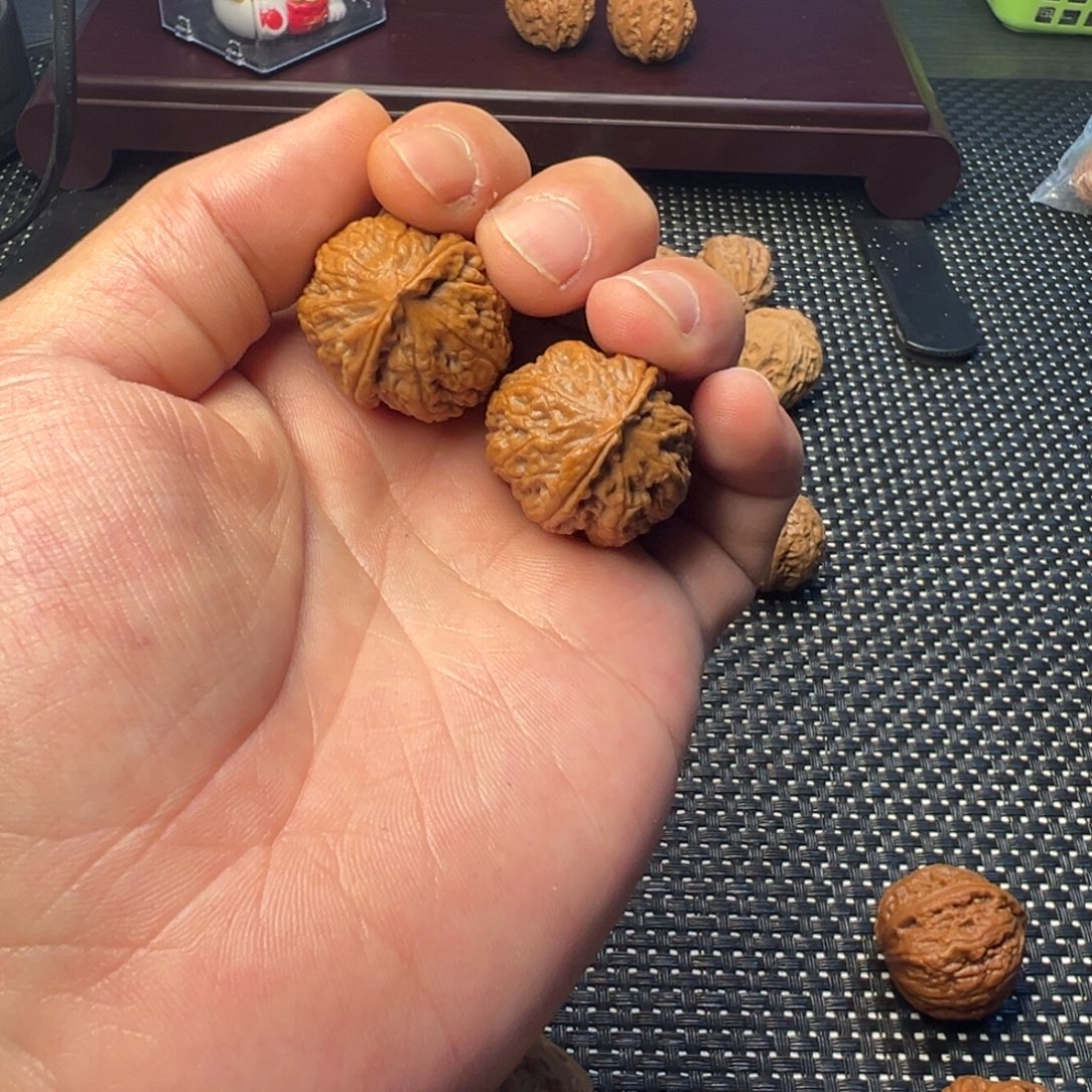 把件文玩核桃龙骨一道筋